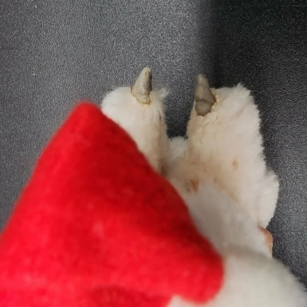 VTG Korea White Christmas‎ Mouse Clip On Santa Hat Plush Retro Kitsch Ornament